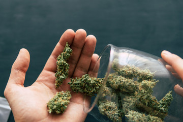 hands of a man against the background of weighing cones of cannabis marijuana weed