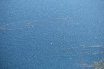 海,日本,九州,大分