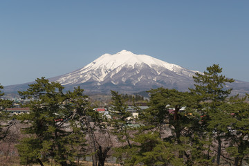 Mt.Iwaki and Sakura cherry blossom in spring.Mount Iwaki is a compound volcano located in the southwest portion of the Tsugaru Plain.