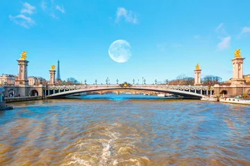 Photo sur Plexiglas Pont Alexandre III Alexandre III Bridge, Paris France