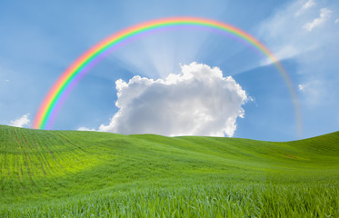 Naklejka premium Green grass field and bright blue sky with rainbow