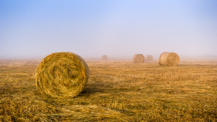 Poranne mgły © podlaski49