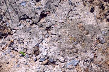 texture of concrete