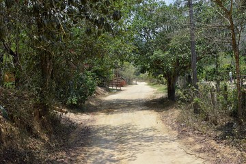 Jungle Landscape views from the rural small village road to El Eden by Puerto Vallarta Mexico where Predator the movie with Arnold Schwarzenegger was mostly filmed 