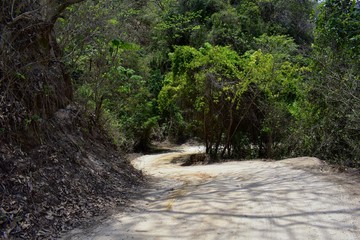 Jungle Landscape views from the rural small village road to El Eden by Puerto Vallarta Mexico where Predator the movie with Arnold Schwarzenegger was mostly filmed 
