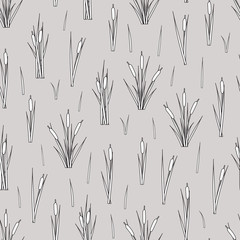 Seamless pattern of outline reed bushes. - obrazy, fototapety, plakaty