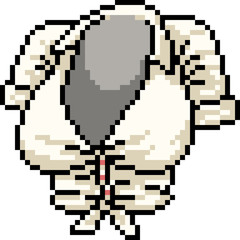 vector pixel art woman shirt