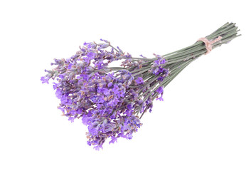 Twig of lavender isolated on a white background