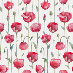 Red poppies on white background. Seamless watercolor floral pattern. Hand Drawn Flowers