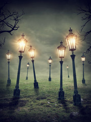 Laterns in the meadow