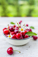 Fresh and ripe sweet cherries on a wooden table in the garden. 