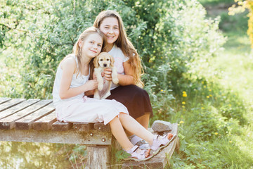 Two cute lovely little school age girls playing and hugging puppy dog golden spaniel, sitting on wooden bridge at the park in summer outdoor nature. Friendship, care and pet lover concept.