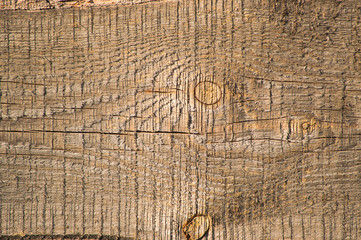 Fototapeta premium Wooden plank