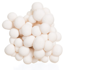 White beech mushrooms or Shimeji mushroom on white background