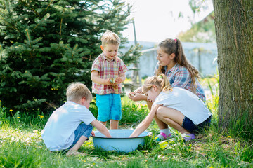 Fototapeta na wymiar Four enthusiastic children enjoying and playing with raw fish in basin outdoor in sunny summer day. Childhood, friendship and adventure concept. Cheerful fuss.