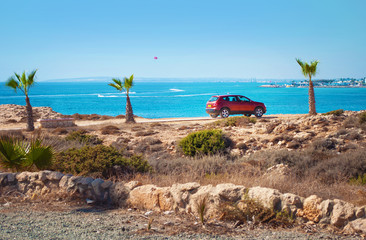 One red hatchback car among short palm trees