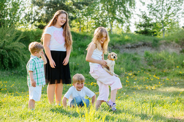 Obraz premium A group of four childrenlaughing, playing and caress little puppy dog gold spaniel in summer glade outdoor.