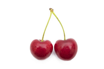 isolated cherries in white background