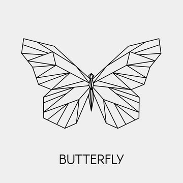 Fototapeta Abstract polygonal butterfly. Geometric linear animal. Vector illustration.