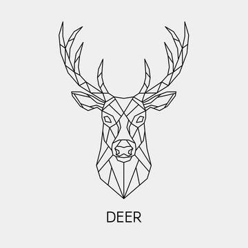 Abstract polygonal the head of a deer. Geometric linear animal. Vector.