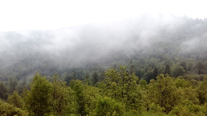 Туман в горах