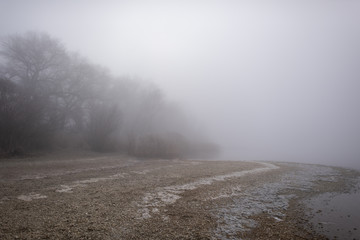 Seeufer im Nebel 2