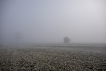 Hütte auf Feld im Nebel