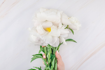 White peony flowers on marble background