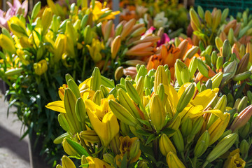 Multicolored lilies in street market