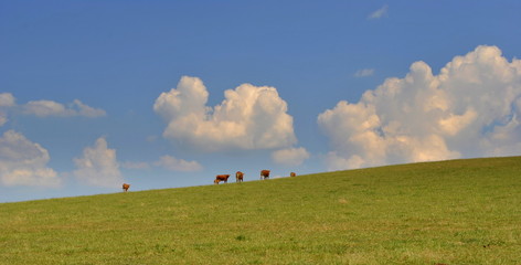 Pejzaż wiejski © bnorbert3