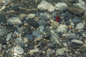 Symbol of the heart on the sea bottom among the stones