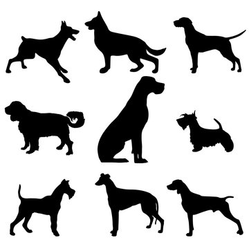 Black and white vector silhouette of a dog. Clipart.