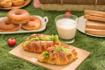 Picnic on the grass. Red checked tablecloth, basket, healthy food sandwich and fruit, orange, milk. Summer Time Rest.