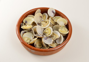 Clam appetizer