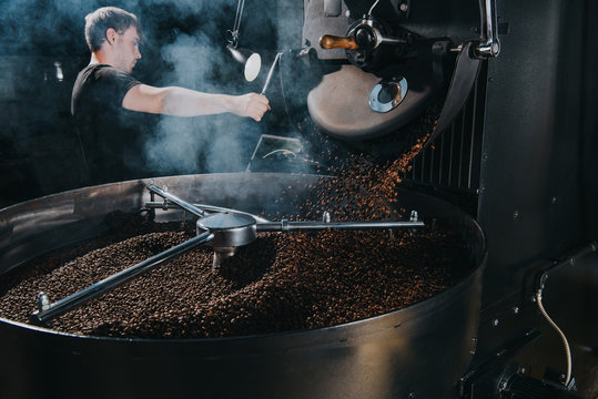 Professional male roaster loading container of steaming machine with coffee beans