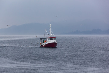 Fishing boat, surrounded by seagulls come back in the harbor of Stavanger, Norway