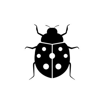 ladybird / ladybug / insect icon