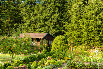 Summer house in green garden over forest. Cottage in countryside scenery