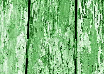 Fototapeta na wymiar Grunge wooden fence pattern in green color.