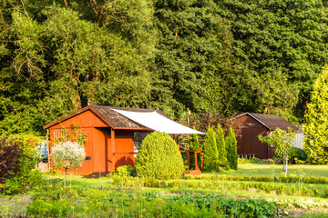 Fototapeta na wymiar Wooden cottage in the garden in the summer countryside landscape