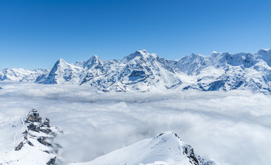 Top of the Alps