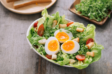 Caesar Salad isolated on white background