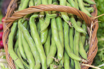 Broad beans in box.