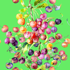 Ripe, juicy, summer cherry and berry pattern. Watercolor. Illustration