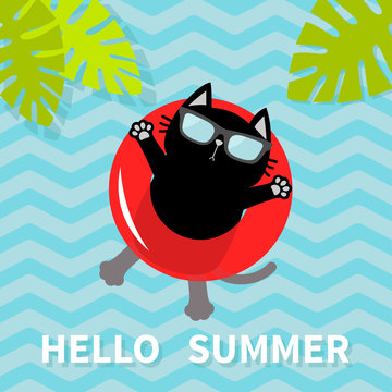 Hello Summer. Black cat floating on red air pool water circle. Lifebuoy. Palm tree leaf. Cute cartoon relaxing character. Sunglasses. Water with waves. Flat design.