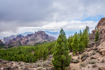 Gran Canaria landscape, Spain