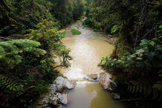 Cameron Highlands Parit Falls trekking