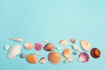 Background with seashells border on blue. Place for text.