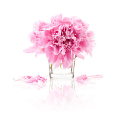 Peony flowers isolated on white © msk.nina