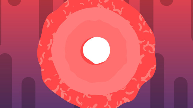 Cartoon of Spermatozoid Growing in Ovum